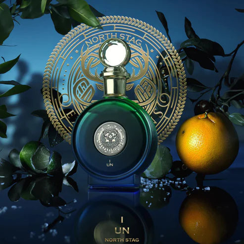 North Stag Expressions I de Paris Corner 100ML: Perfume Masculino Amaderado y Especiado de Larga Duración